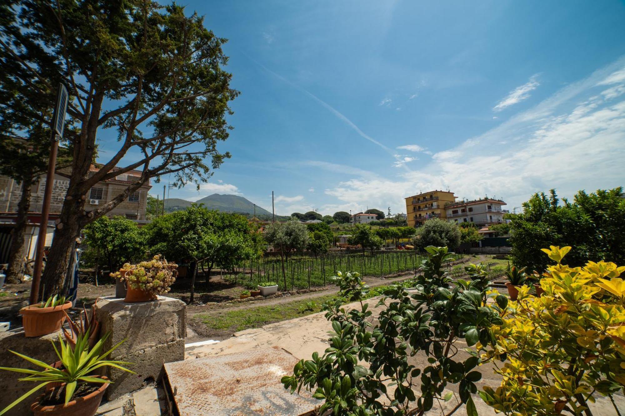 L'Orizzonte Bed & Breakfast Ercolano Luaran gambar